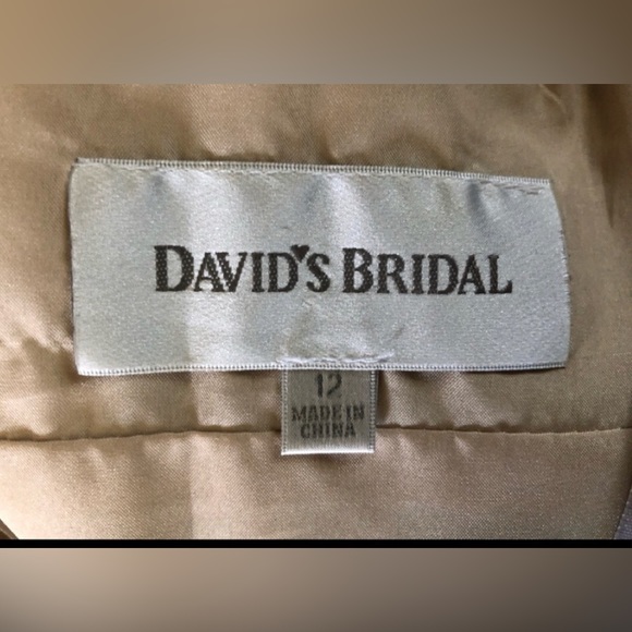 David's Bridal Mesh Beaded Prom Dress 12 Gorgeous Tulle Caviar Embellished Party - Picture 11 of 15